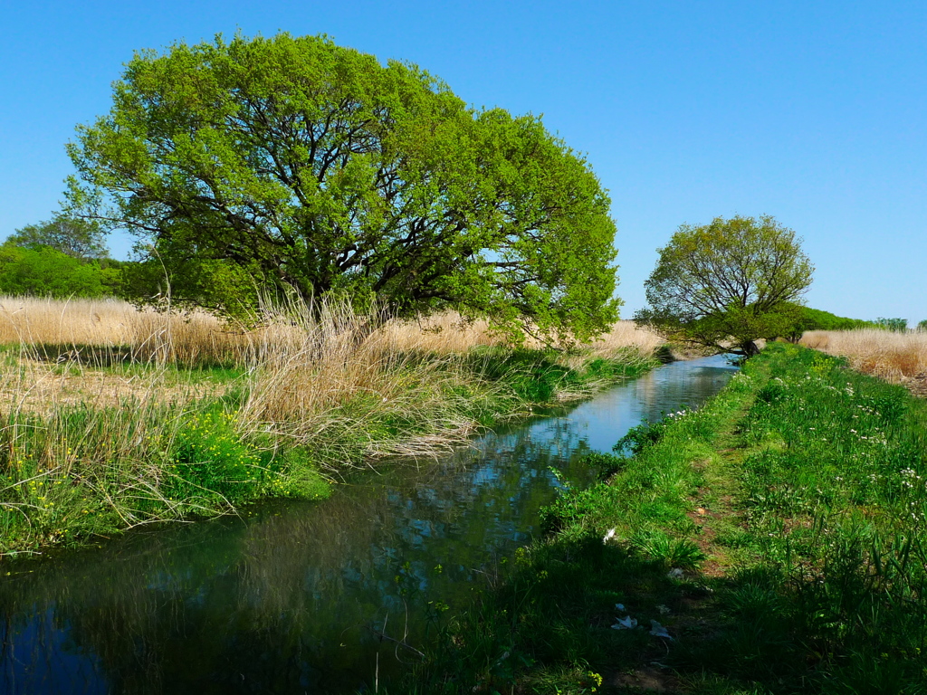季節の変わり目１