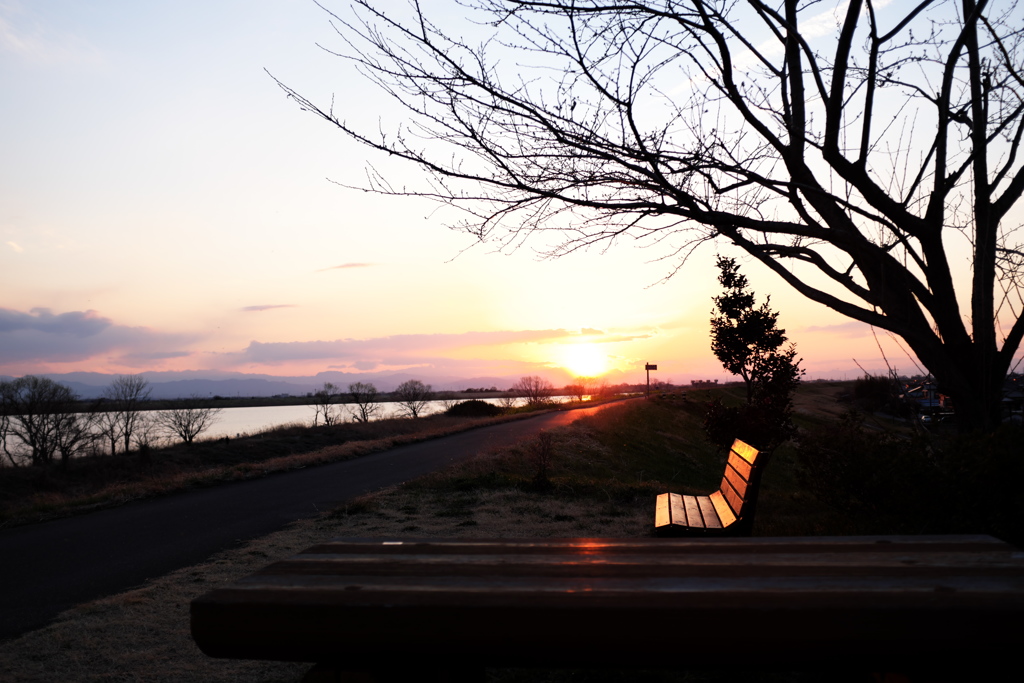 ベンチのある夕景