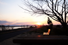 ベンチのある夕景