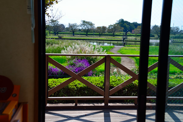 コーヒー店からの眺め