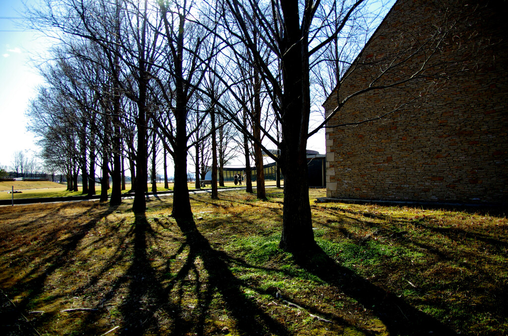 春節の美術館２