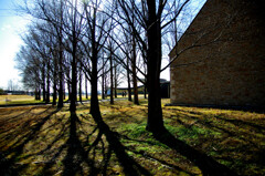 春節の美術館２