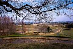 平野の古墳群