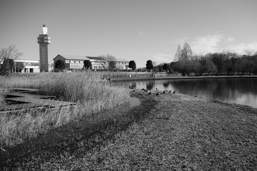 22年大晦日の風景