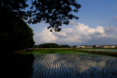 田んぼのある風景２