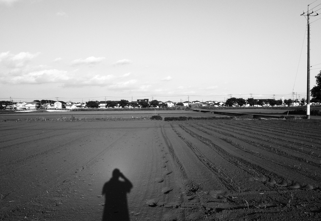 散歩道風景