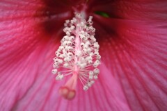 突然の挨拶２