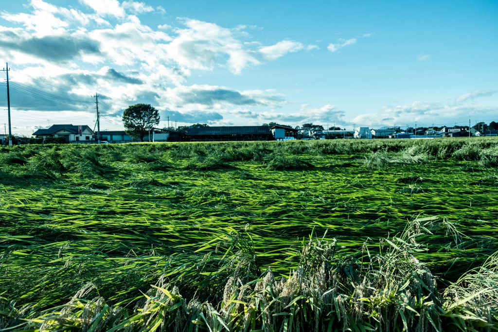 嵐の後の風景