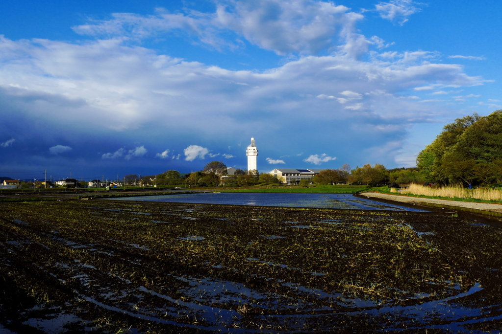 もうすぐ田植えシーズンです。
