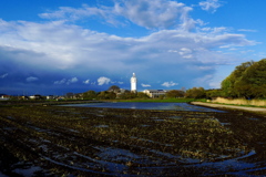 もうすぐ田植えシーズンです。