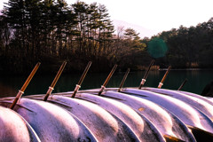 もうしばらくこのまま