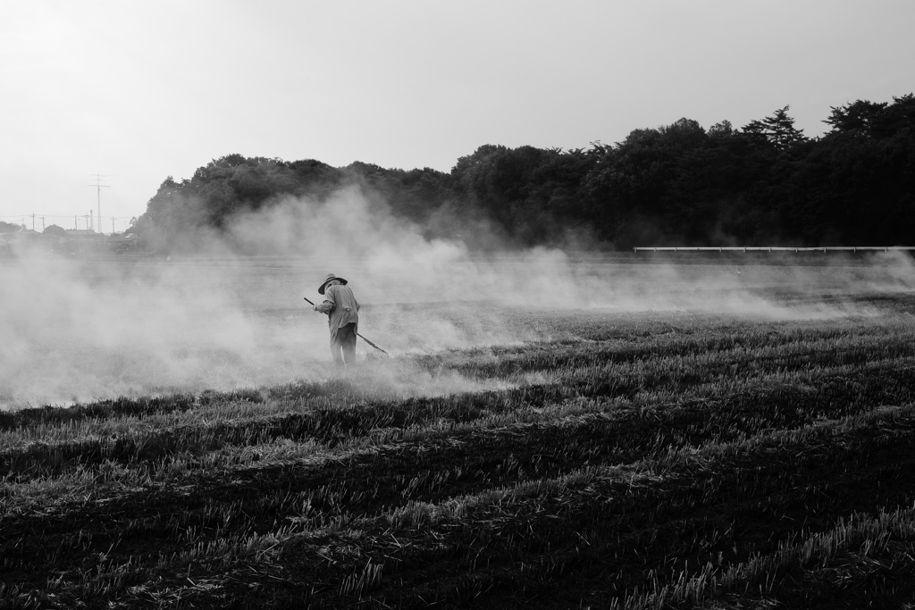 麦刈り後野焼き