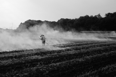 麦刈り後野焼き