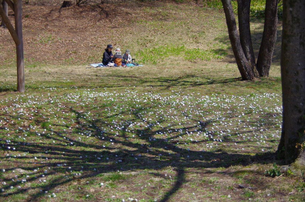山のピクニック