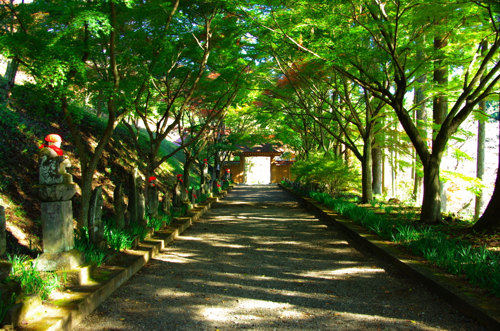 山寺の紅葉前２