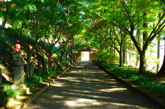 山寺の紅葉前２