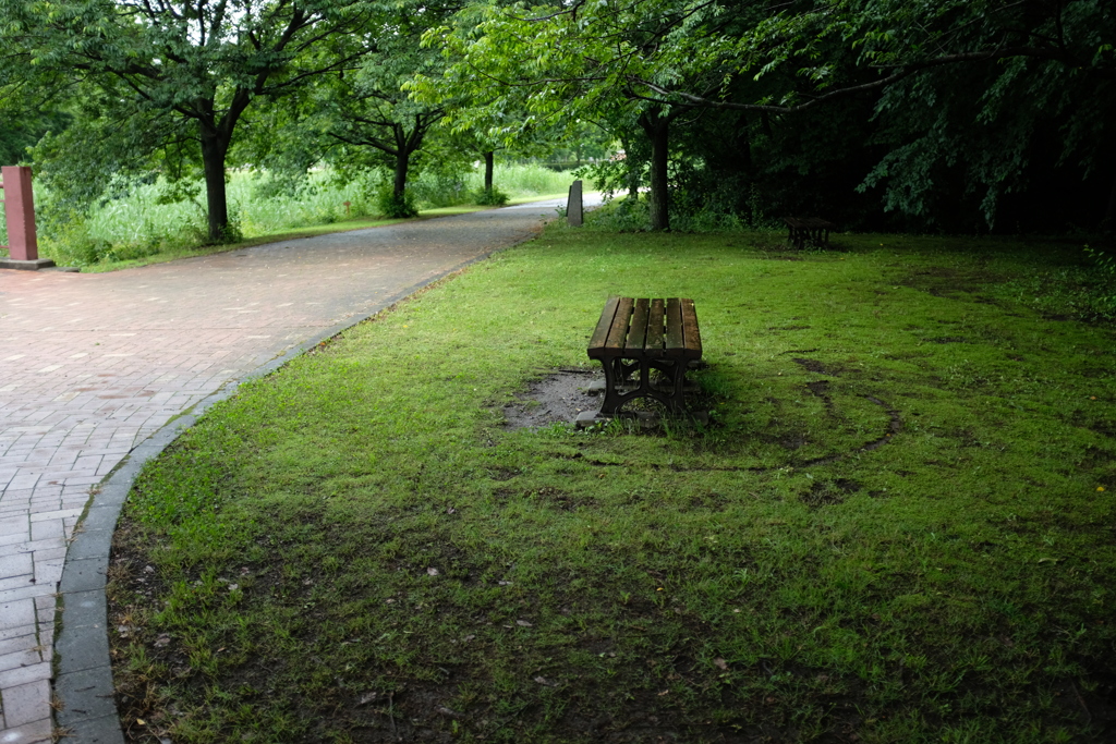いつもあるベンチ