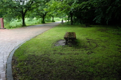 いつもあるベンチ