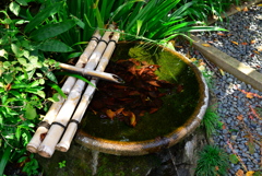 古寺のオアシス