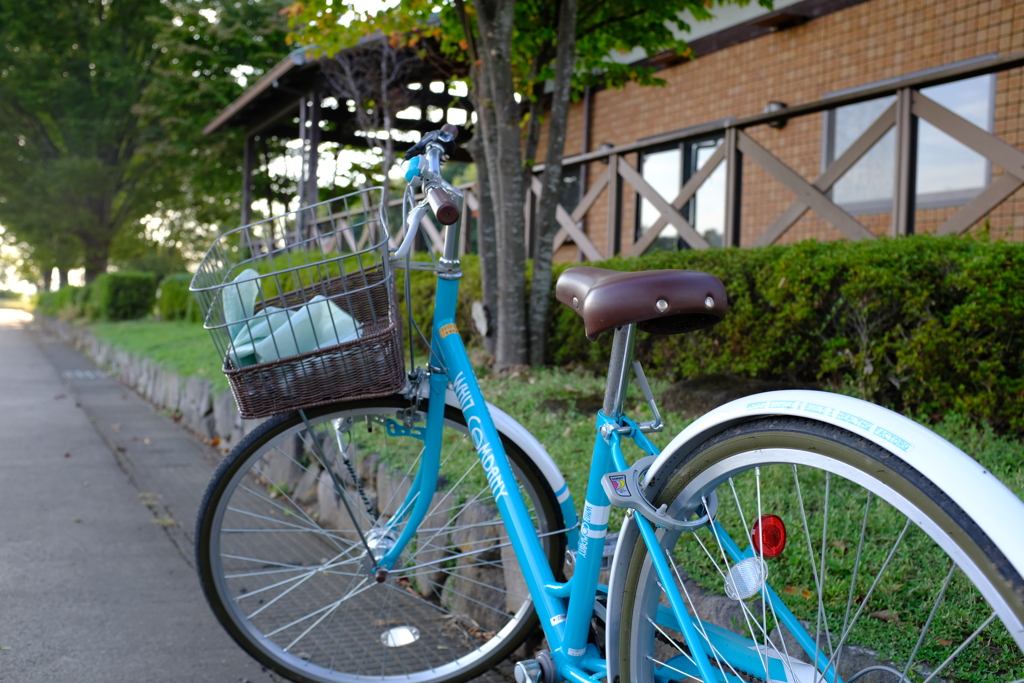 散歩を助ける補助車