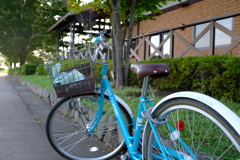 散歩を助ける補助車