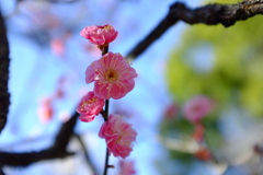 中国杭州店口を想う