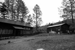 お久しぶり長蔵小屋