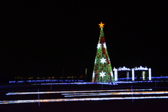 クリスマスツリー