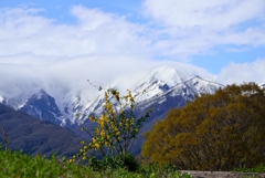 水上からの風景