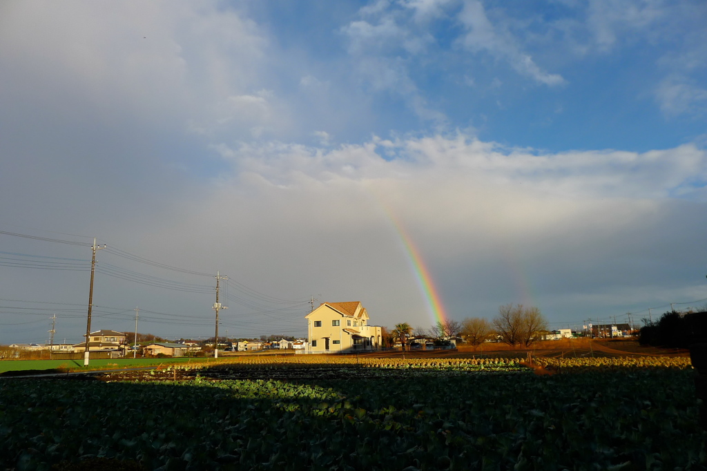 突然の虹