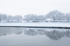 春の雪景色