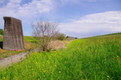 利根の土手を歩く。