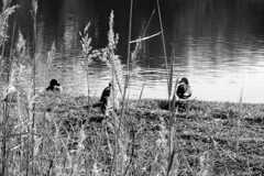 R4大晦日の散歩