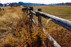 春は近いがまだ先