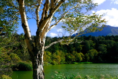 利尻富士を望む姫沼