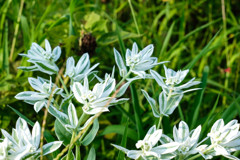 俺だって頑張るー