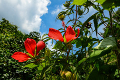 暑さなんのその