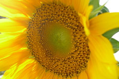 めげた台風には