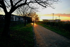 帰りの道は金色色