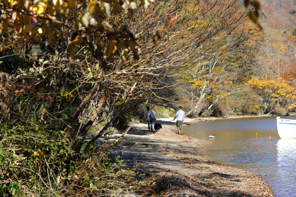 パラダイスの心地良さ