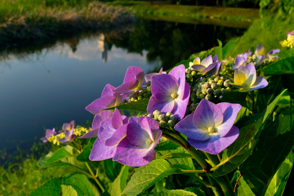 晴れ間のひと時