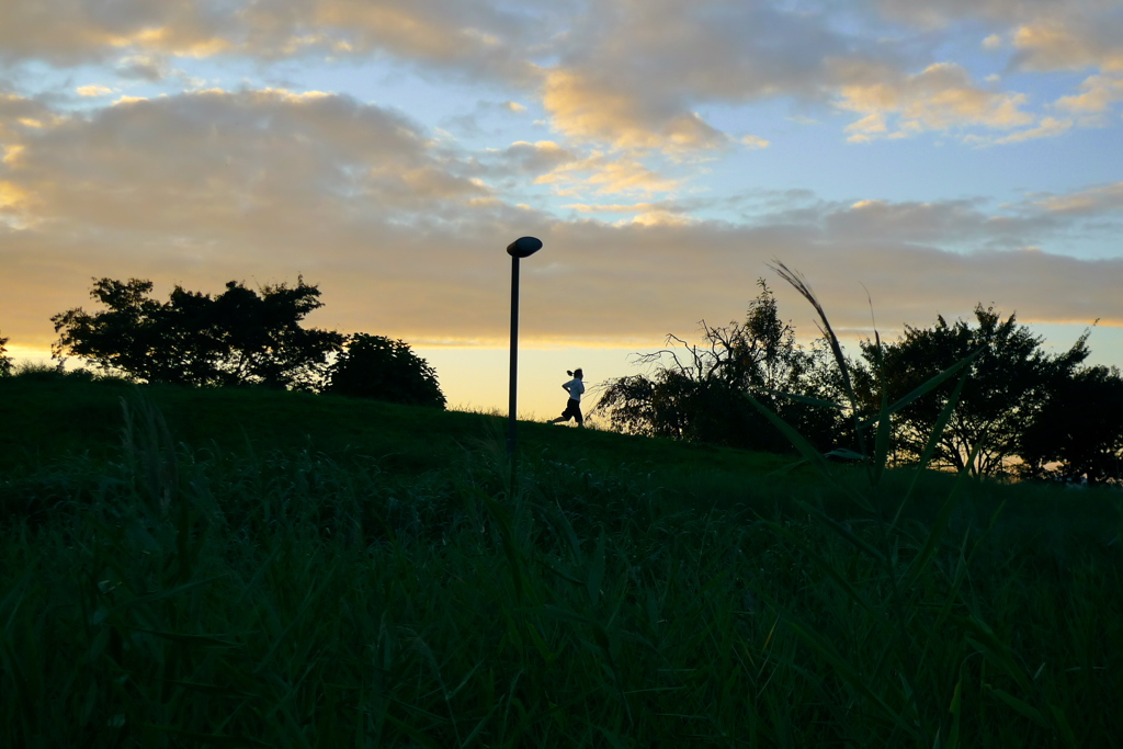 夕刻の走り