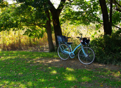 バードウオッチング移動手段