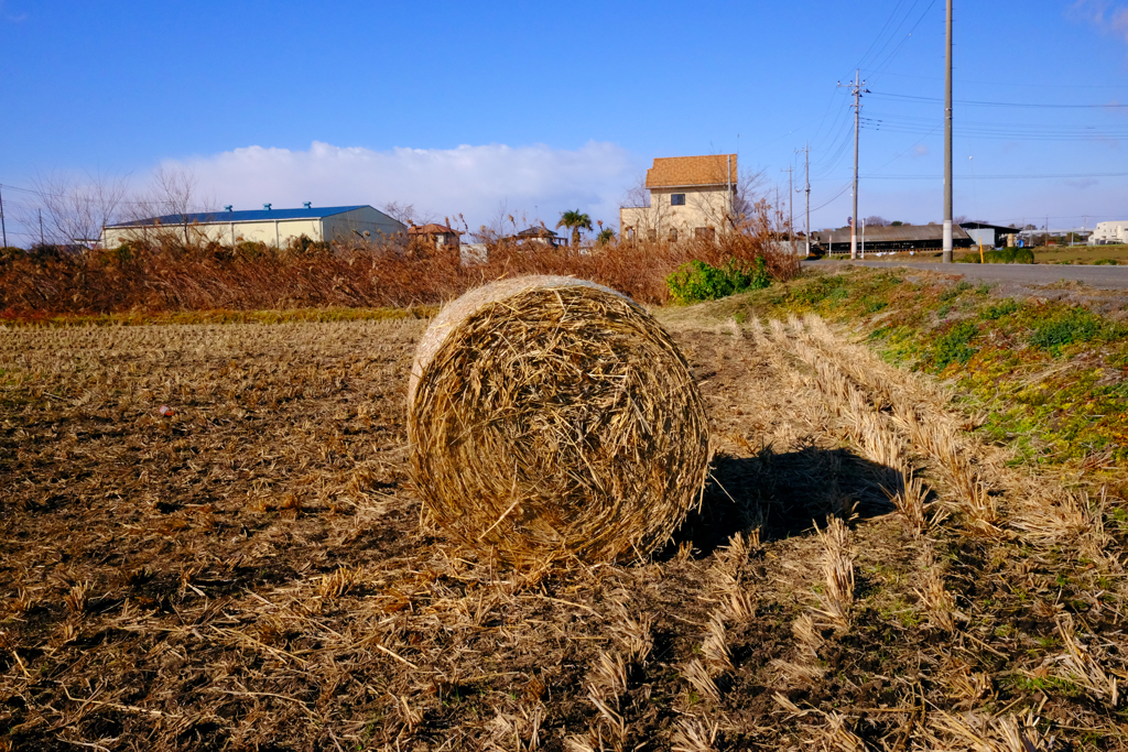 干し草つくり