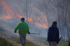 野焼き