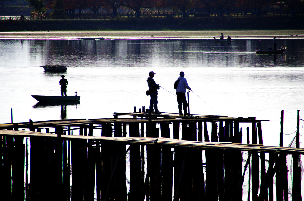 今日は釣り日和