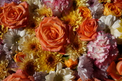 花のジュータン