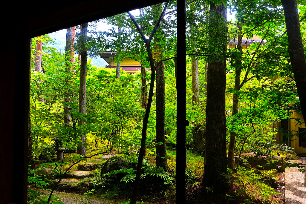 6月の四万旅館中庭