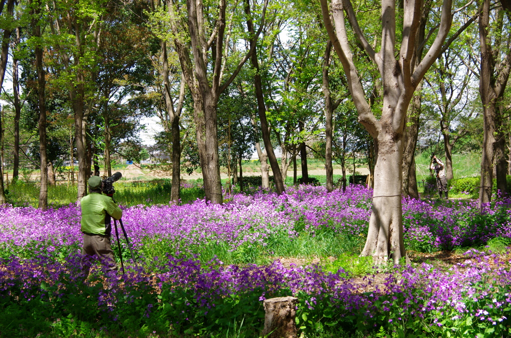 希少種バードを求めて。