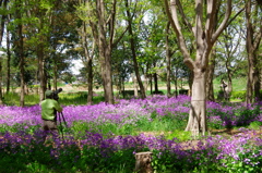 希少種バードを求めて。